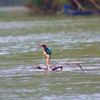 Séjour responsable au Vietnam