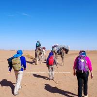 Voyage nature au Maroc en petit groupe