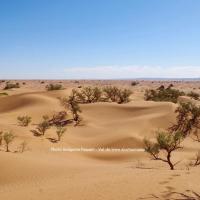 Voyage responsable au Maroc