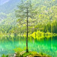 Voyage nature en Slovénie