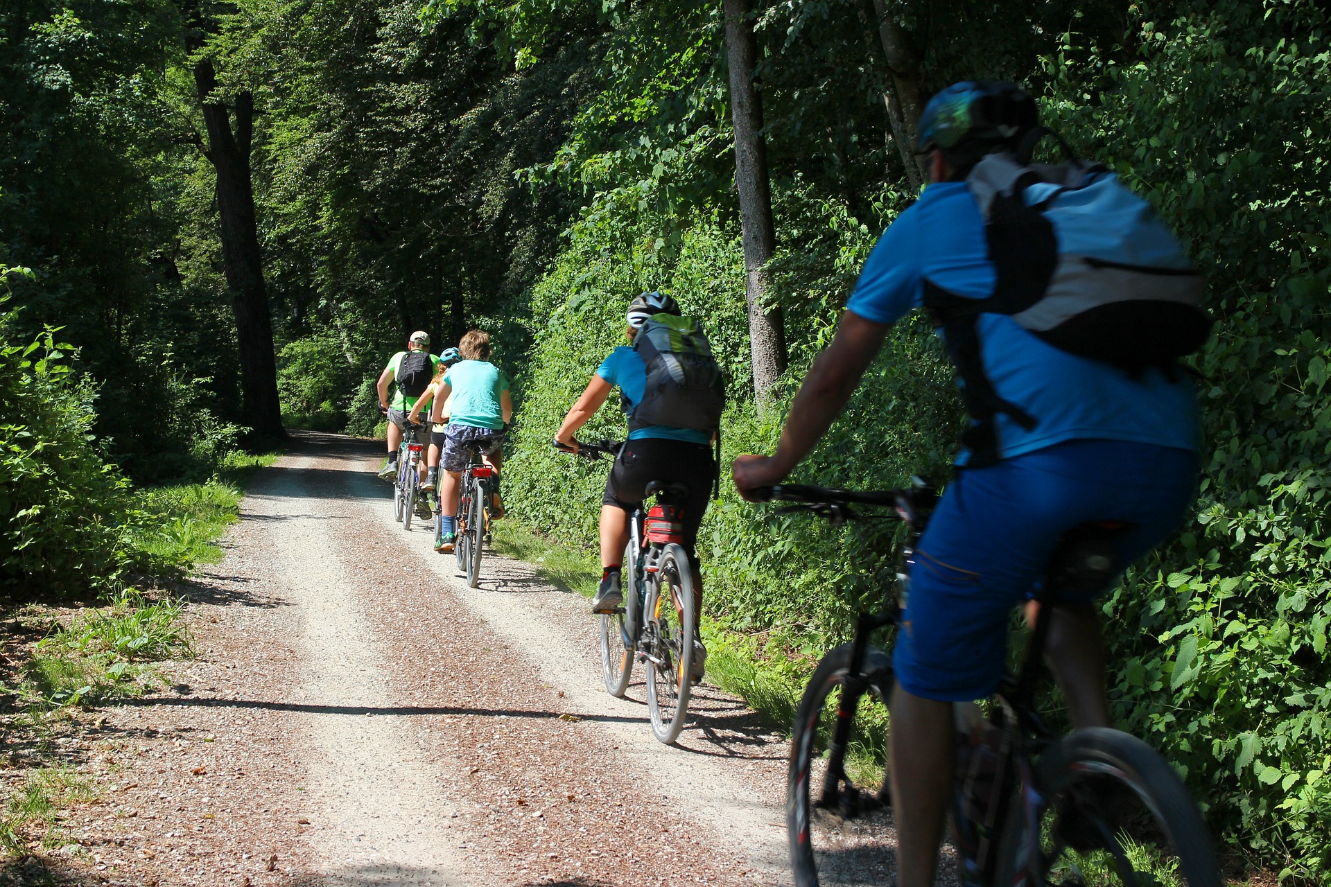 Excursion à vélo écotourisme