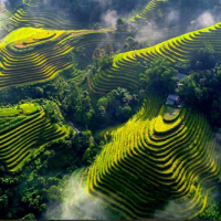 Voyage au Vietnam
