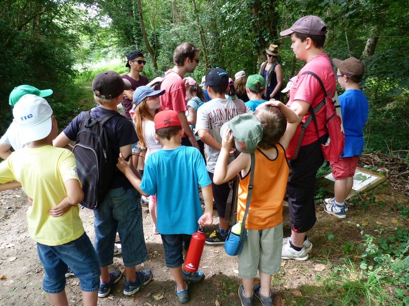 Stage animations nature en Touraine