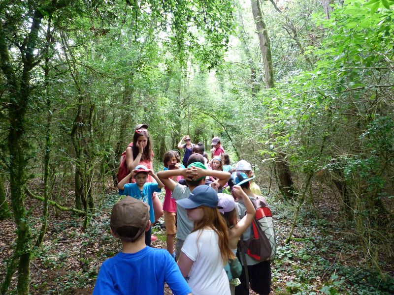 Stage animations nature en Touraine