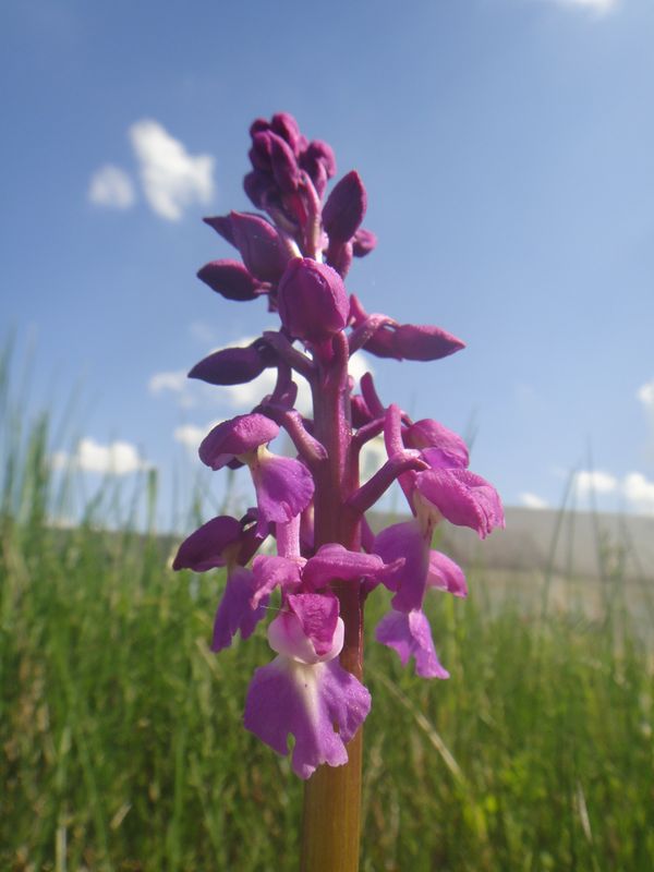 Séjour randonnée nature en touraine