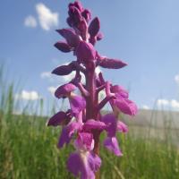Séjour randonnée nature en touraine