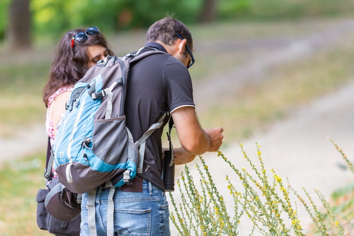 Formation plantes médicinales et comestibles