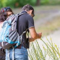 Sortie nature Val de Loire Ecotourisme