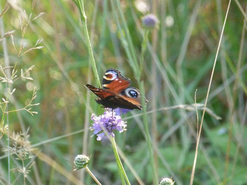 Séjour randonnée nature en touraine