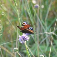 Séjour randonnée nature en touraine