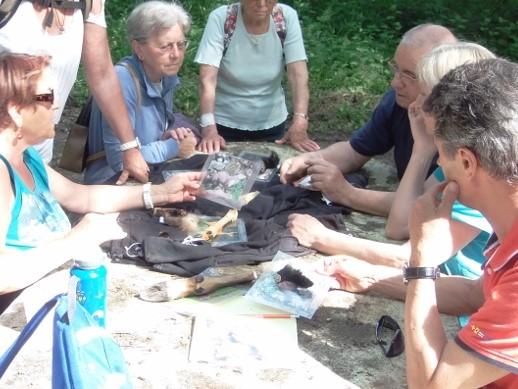 Formation faune sauvage en Touraine