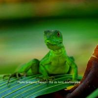 Séjour au Costa Rica