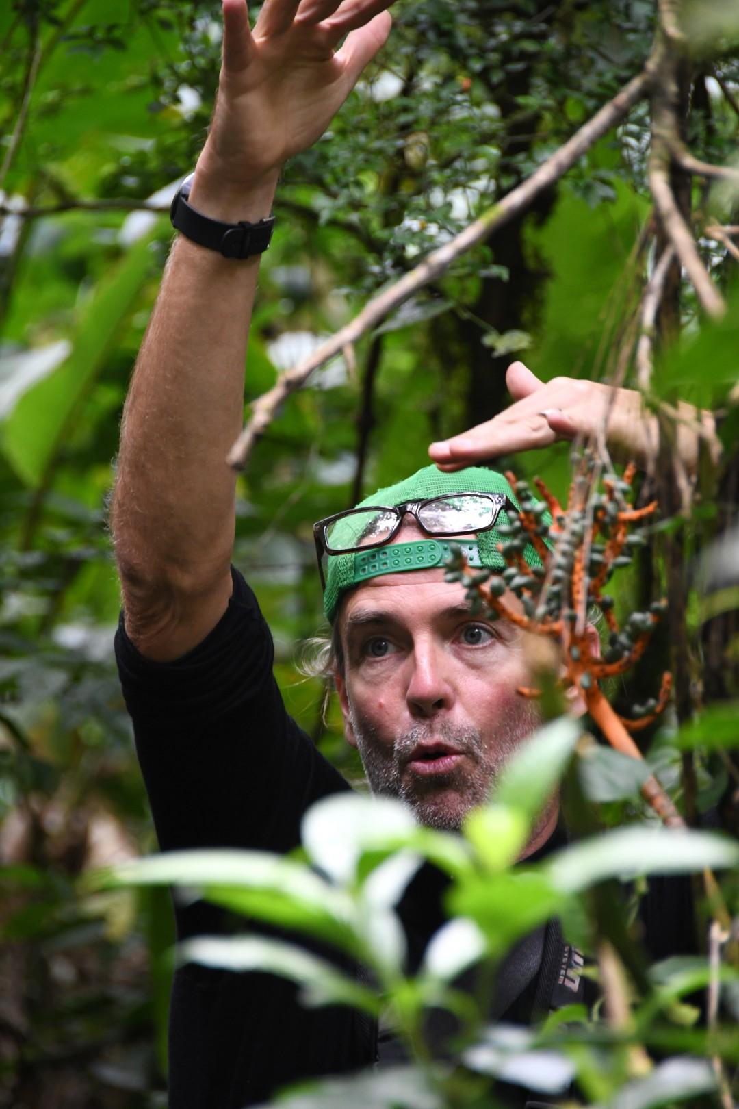 Séjour au Costa Rica