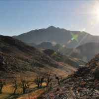 Voyage en Ouzbékistan