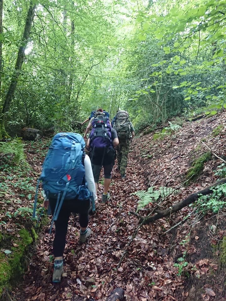 Rando nature guidée en forêt de Touraine