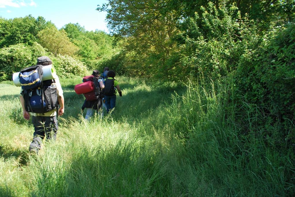 Bivouac à l'abbaye