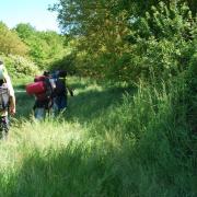 Rando en touraine val de loire ecotourisme gregoire paquet