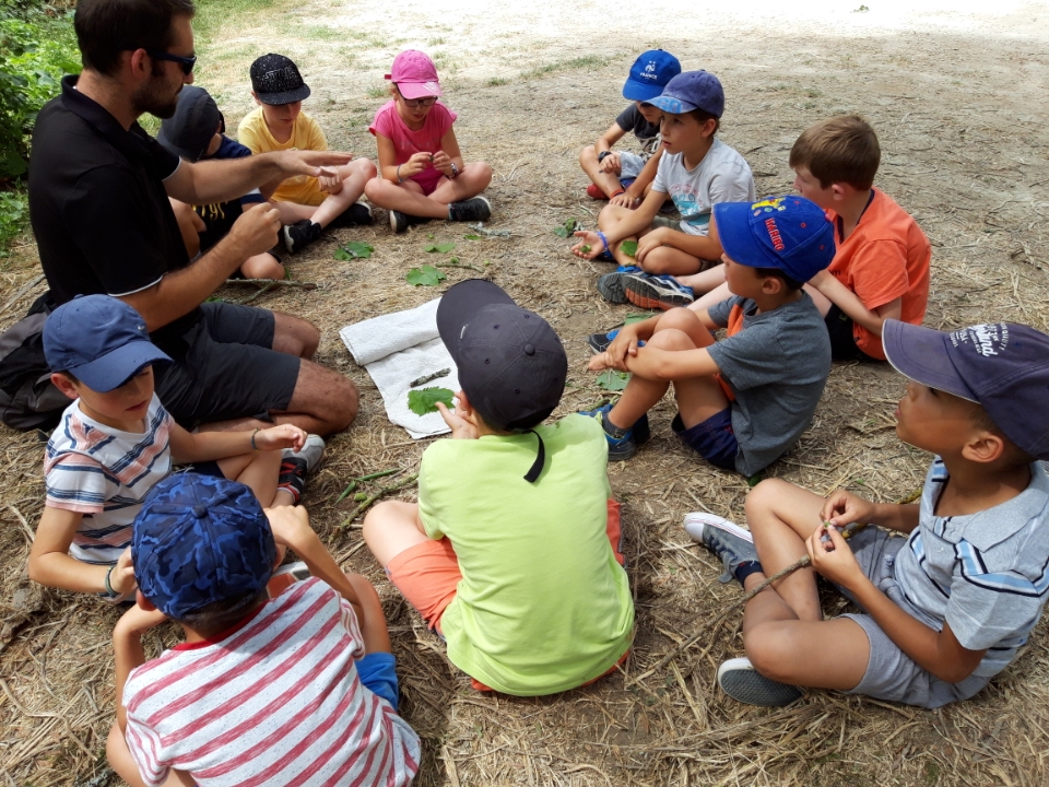 Stage animations nature en Touraine