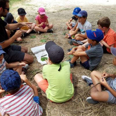 Animation nature en touraine indre et loire