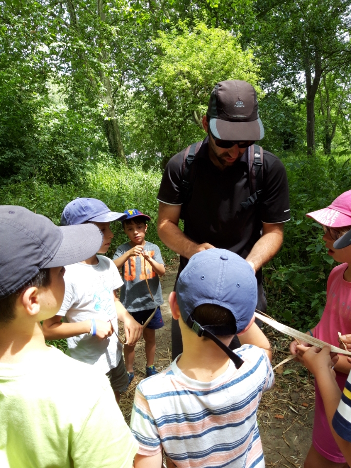 Stage animations nature en Touraine