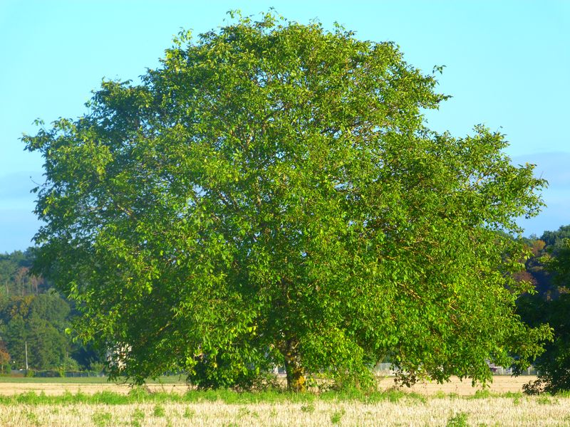 Val de Loire écotourisme