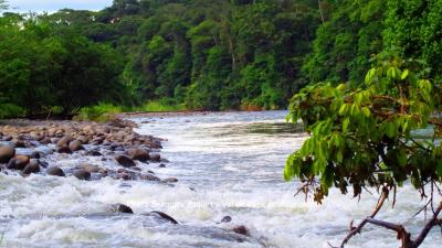 Voyage nature au costa rica