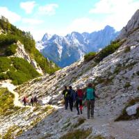 Voyage nature en Slovénie