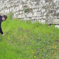 Sortie nature Val de Loire Ecotourisme