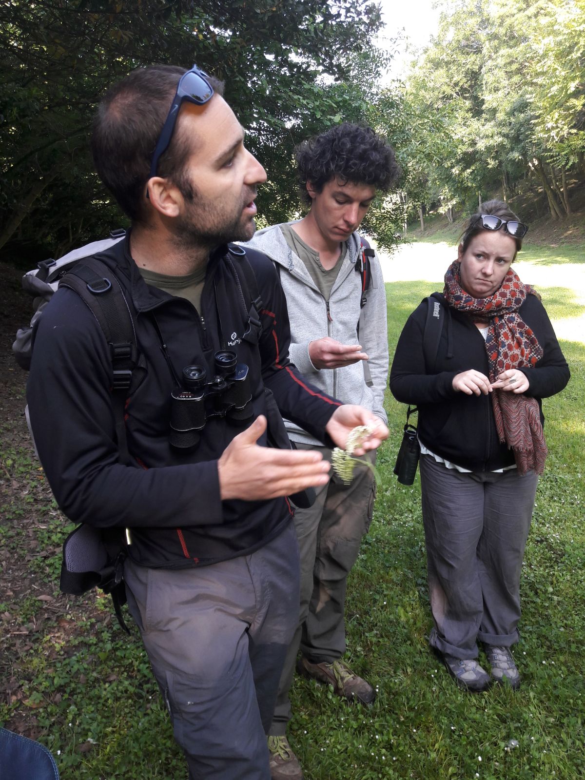 Stage botanique en Touraine