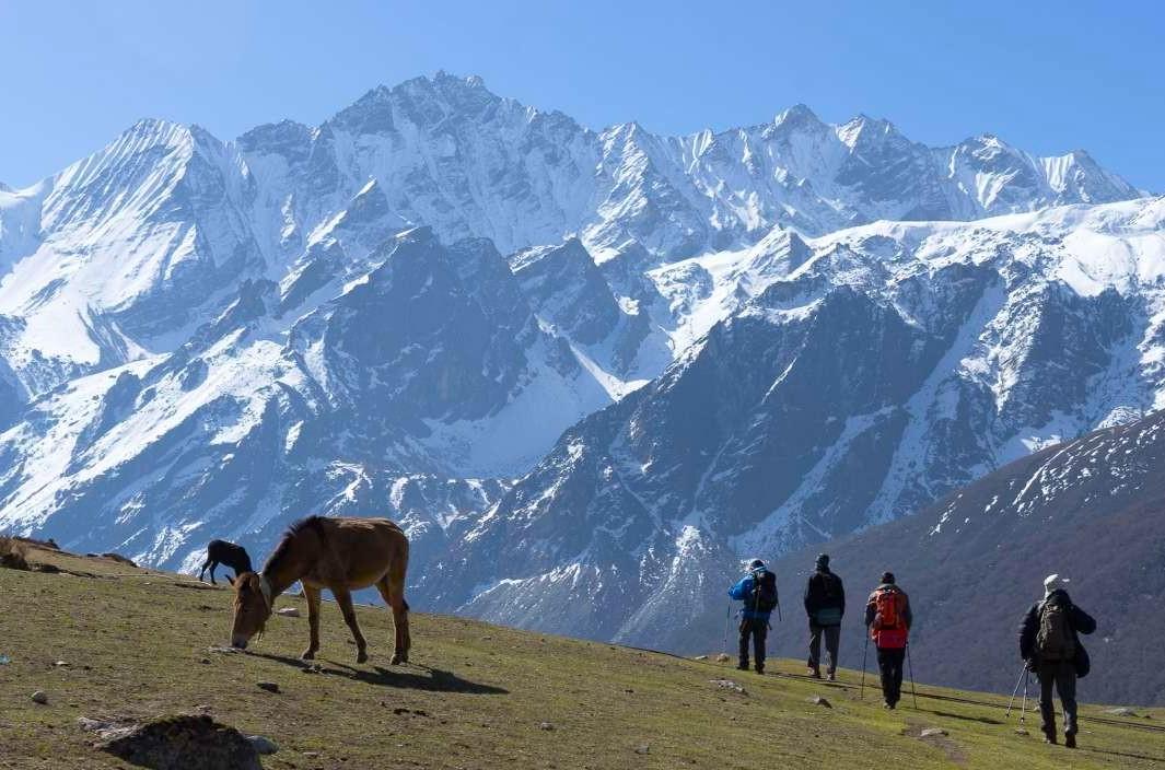 Vallee du langtang - Nepal