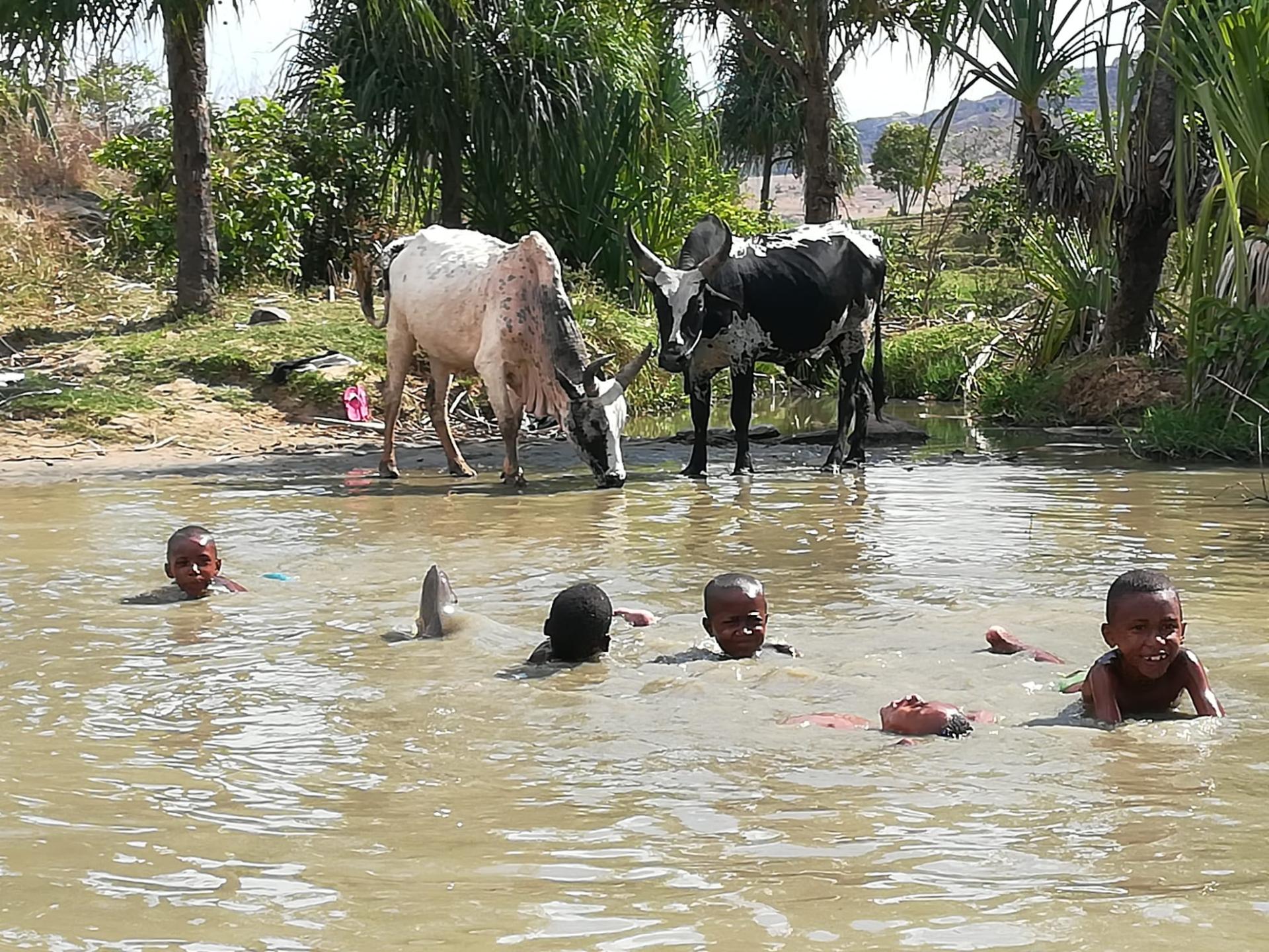 Voyage à Madagascar
