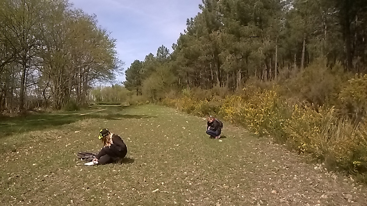 Formation faune sauvage en Touraine