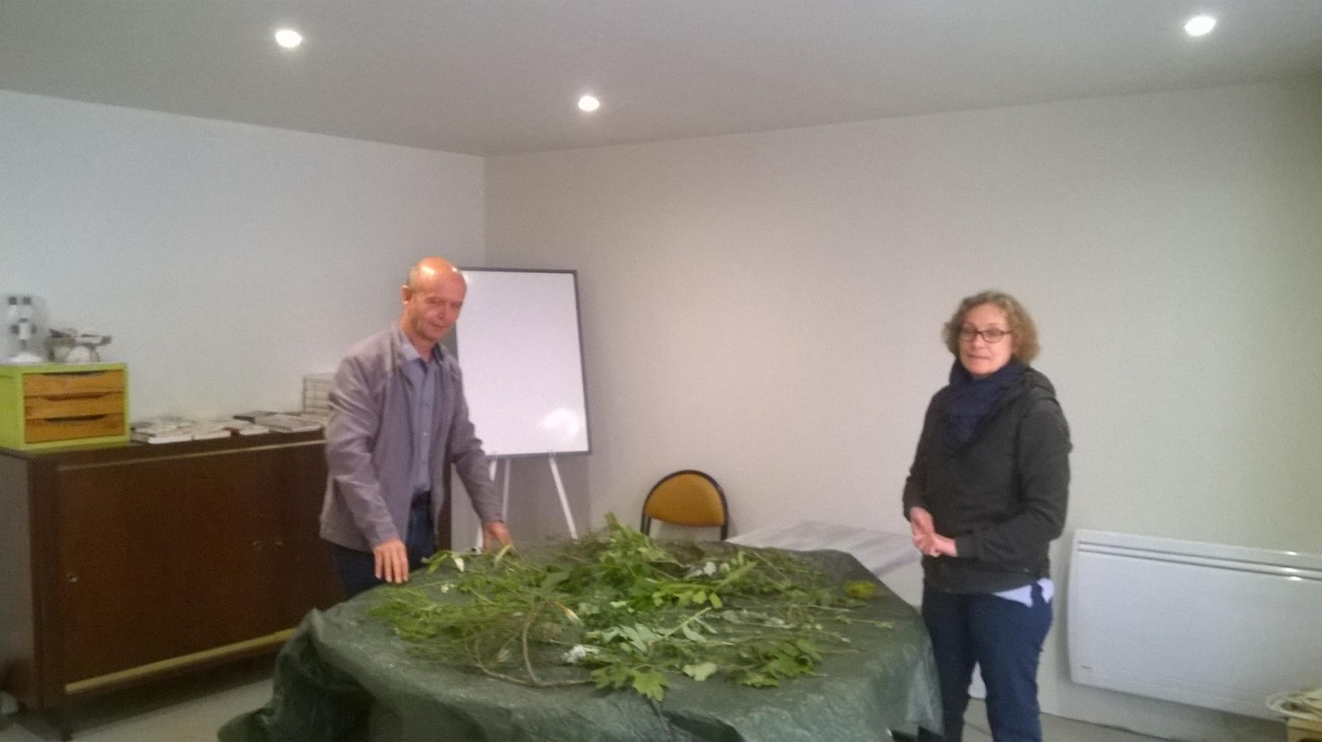 Formation botanique en Touraine