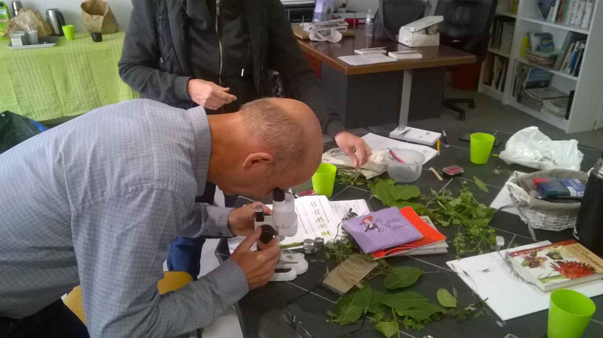 Formation botanique en Touraine