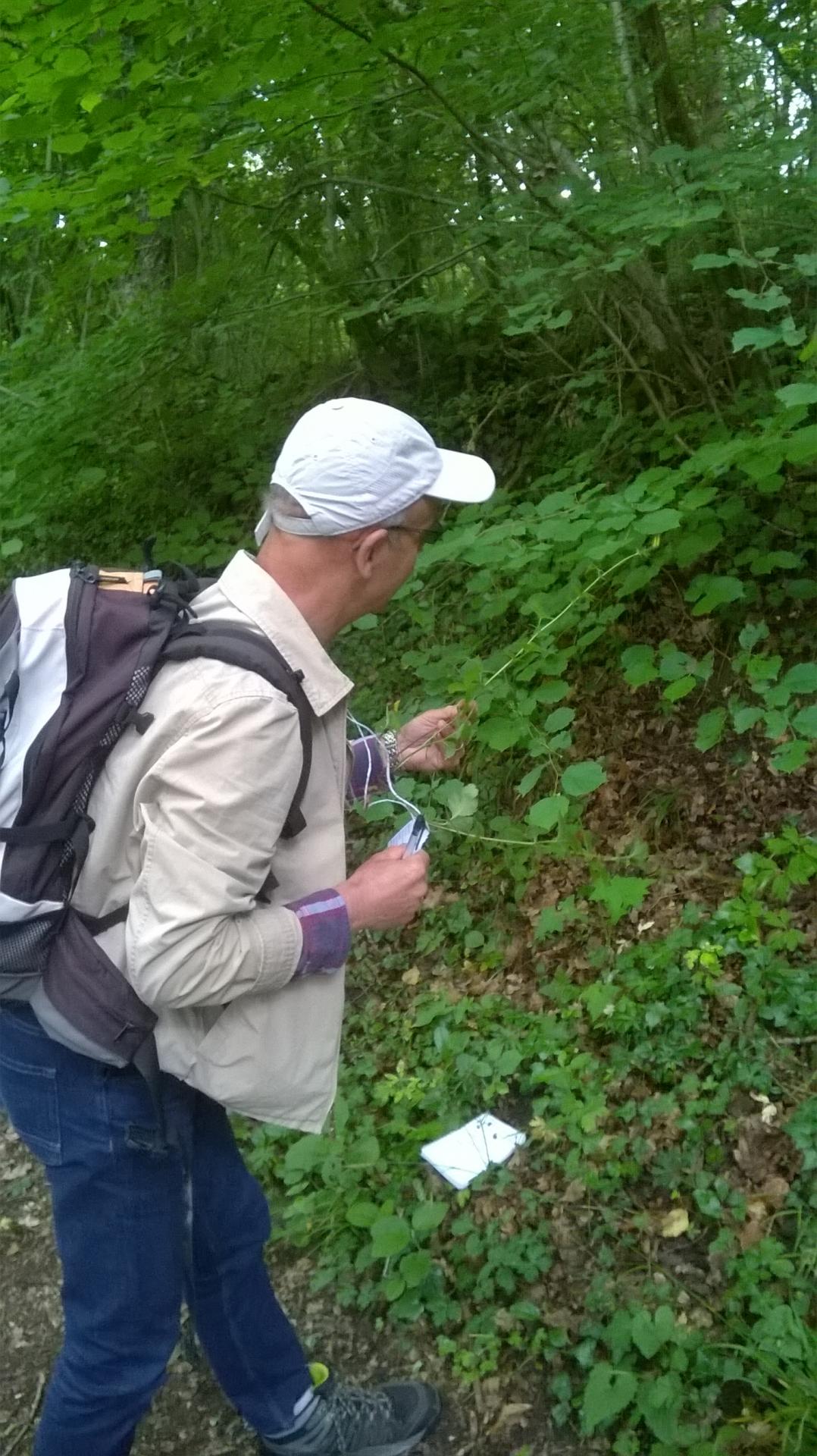 Formation botanique en Touraine