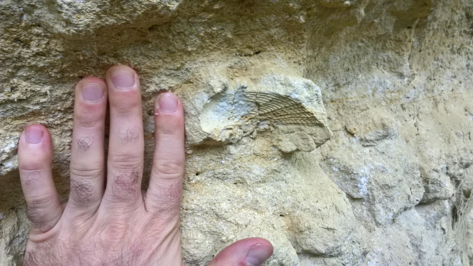 Formation géologie et paysages en Touraine