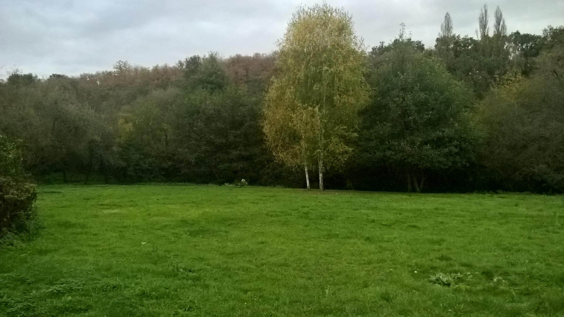 Bivouac à l'abbaye